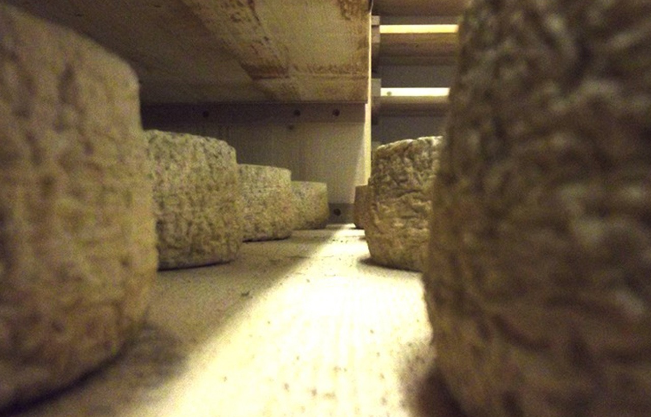 Routeetsaveurs_00_brun-de-lait