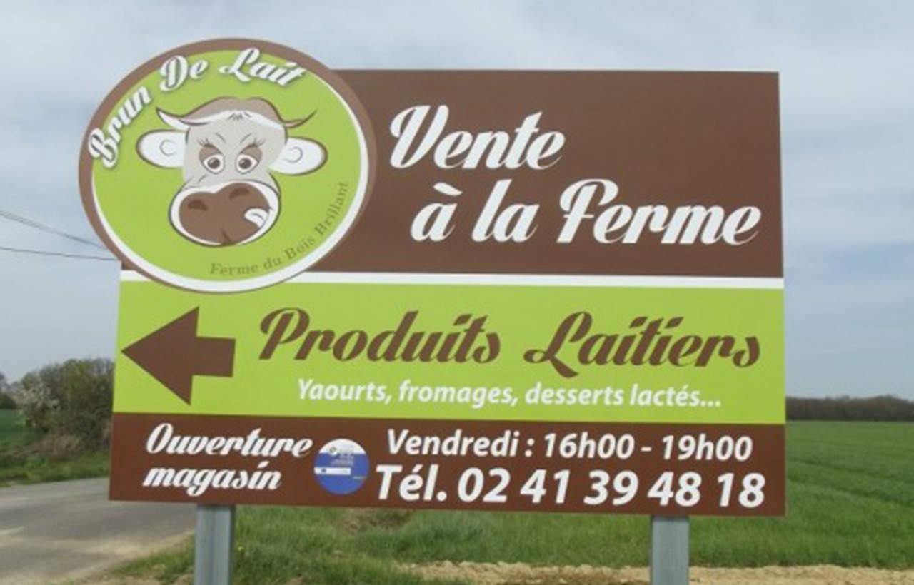 Routeetsaveurs_02_brun-de-lait