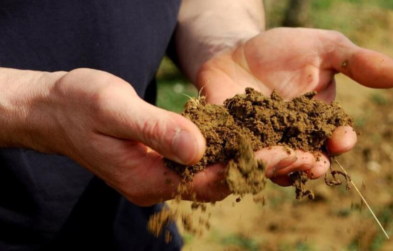 Routeetsaveurs_03_Leduc-frouin